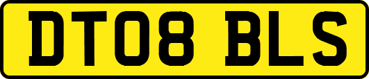 DT08BLS