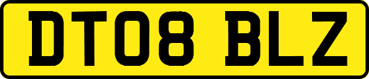 DT08BLZ