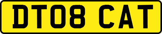 DT08CAT