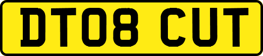 DT08CUT