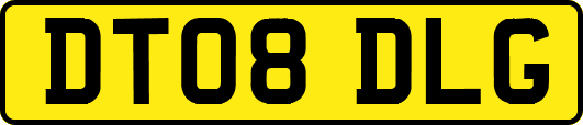 DT08DLG