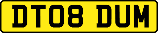 DT08DUM