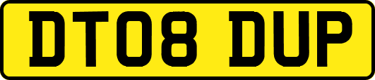 DT08DUP