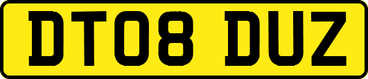 DT08DUZ