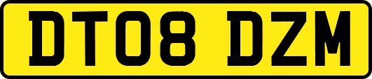 DT08DZM