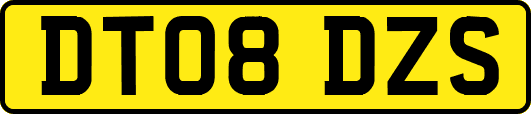 DT08DZS