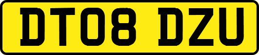 DT08DZU