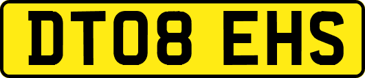 DT08EHS