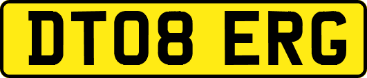 DT08ERG