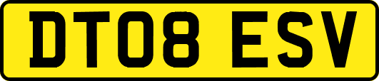 DT08ESV