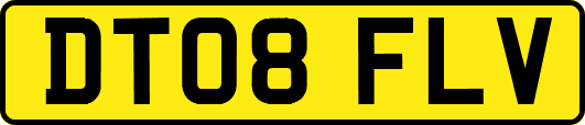 DT08FLV