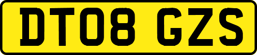 DT08GZS