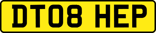 DT08HEP