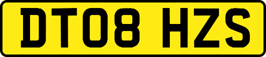 DT08HZS
