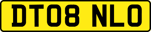 DT08NLO