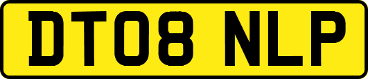 DT08NLP