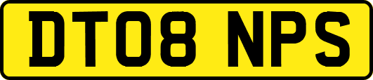 DT08NPS