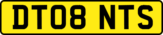 DT08NTS