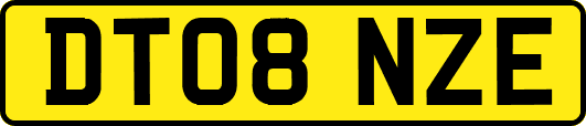 DT08NZE