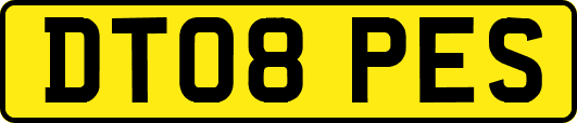 DT08PES