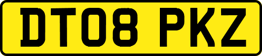 DT08PKZ