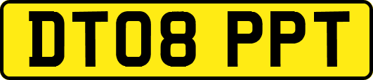 DT08PPT
