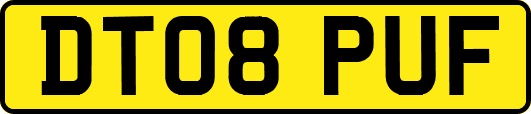 DT08PUF