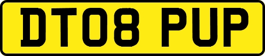 DT08PUP