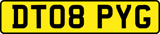 DT08PYG