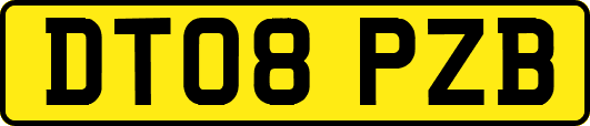 DT08PZB