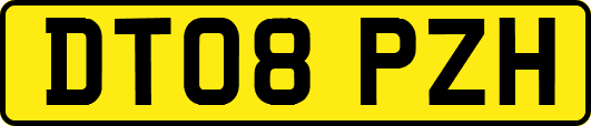 DT08PZH