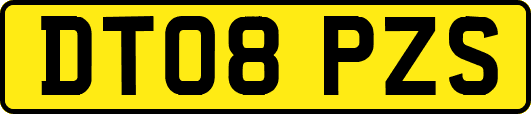DT08PZS