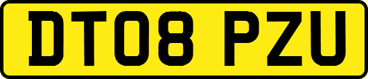 DT08PZU