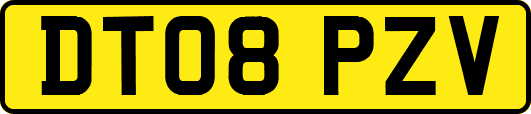 DT08PZV