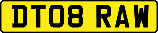DT08RAW