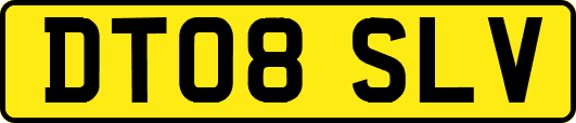 DT08SLV