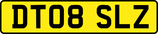 DT08SLZ