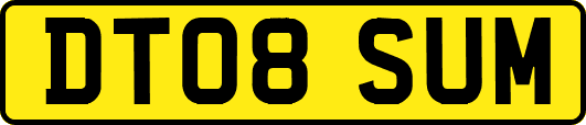 DT08SUM