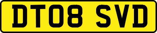 DT08SVD