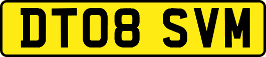 DT08SVM