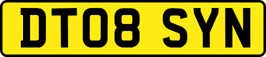 DT08SYN