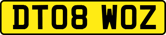 DT08WOZ