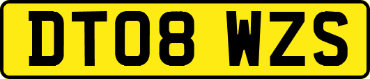 DT08WZS