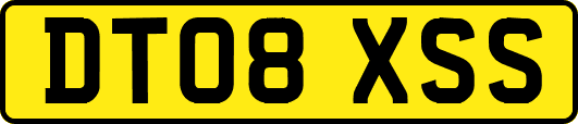 DT08XSS