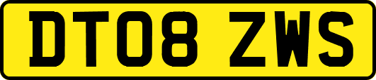 DT08ZWS