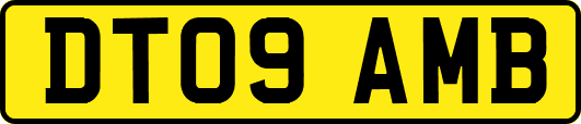 DT09AMB