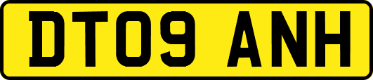 DT09ANH