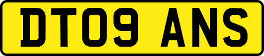 DT09ANS