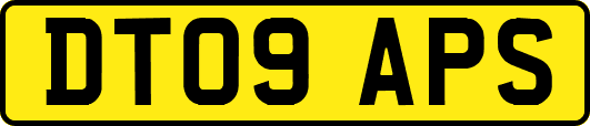 DT09APS