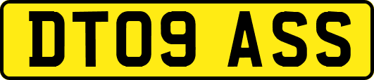 DT09ASS
